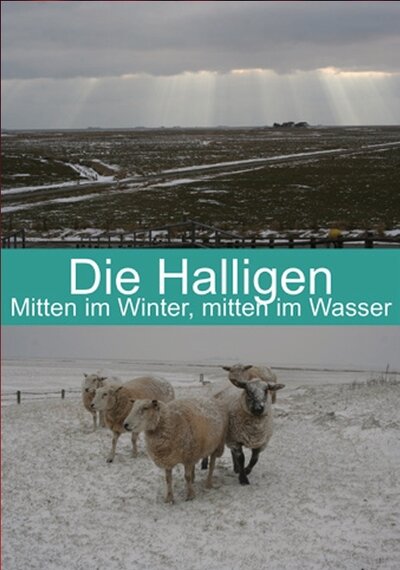 Bild vergr&ouml;&szlig;ern: Die Halligen Filmcover
