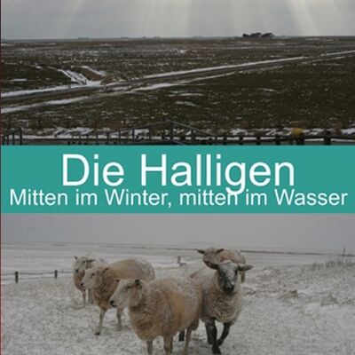 Die Halligen Filmcover